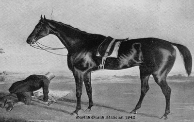 1842 Grand National Winner Gaylad