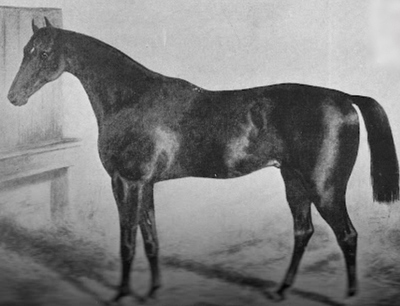 1867 Grand National Cortolvin