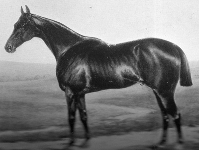 1894 Grand National Why Not