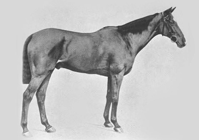 1897 Grand National Winner Manifesto