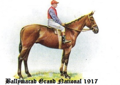 1917 Grand National Ballymacad