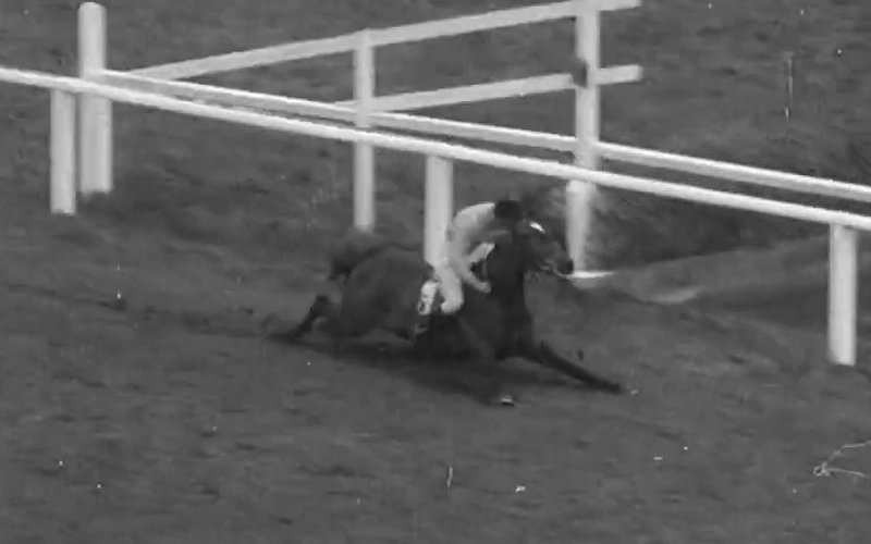 1956 Grand National Devon Loch Fall