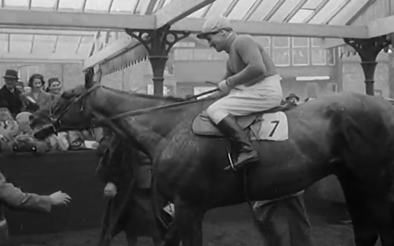1957 Grand National Winner, Sundew