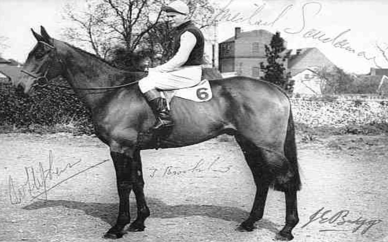 1959 Grand National Winner, OXO