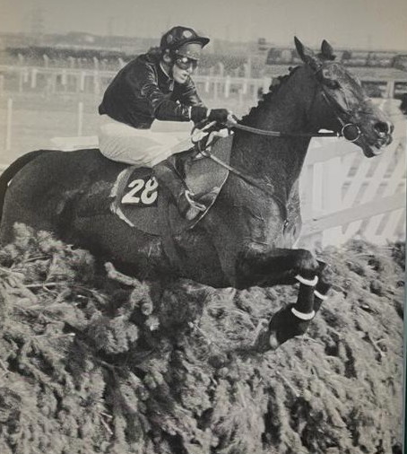 1984 grand national winner Halo Dandy jumping fence