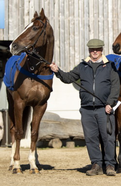 Colin Tizzard holding a horse