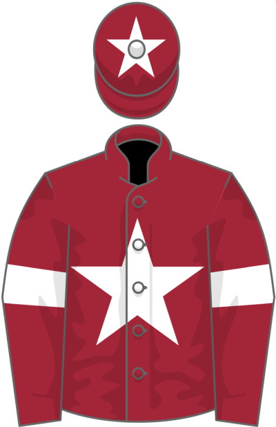 Gigginstown colours