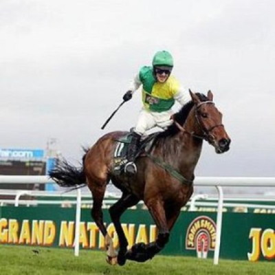 Hedgehunter 2005 grand national winner wiki