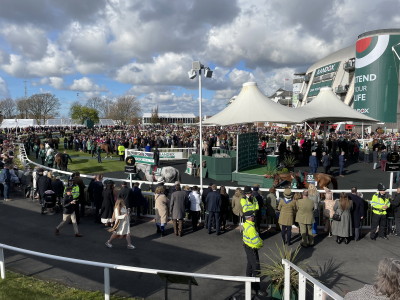 Parade ring 2022