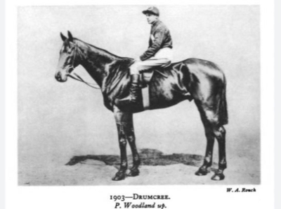 Drumcree 1903 Grand National Winner