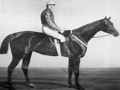 Grand National 1865 Alcibiade