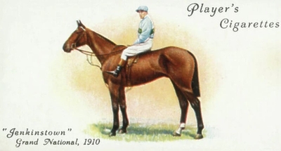 Jenkinstown 1910 Grand National Winner