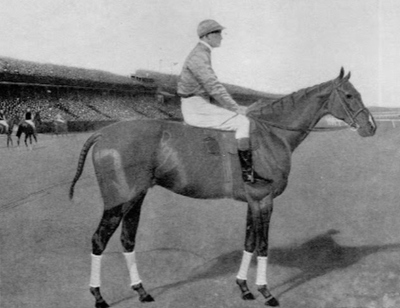 Luttier III 1909 Grand National Winner