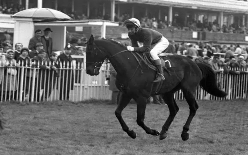 Specify Grand National 1971