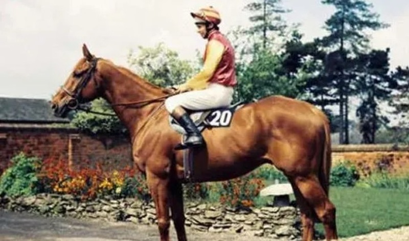 Well To Do Grand National 1972