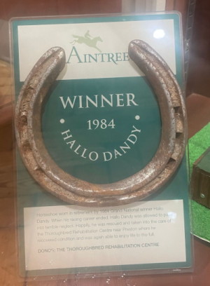 Hallo Dandy GN winner 1984 horse shoe