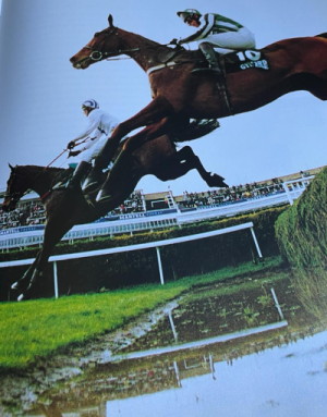 Lord Gyllene ridden by Tony Dobbin 1997, over water jump