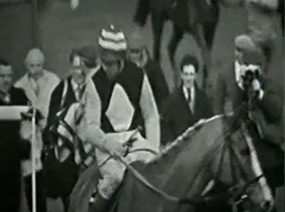 Anglo Horse Grand National