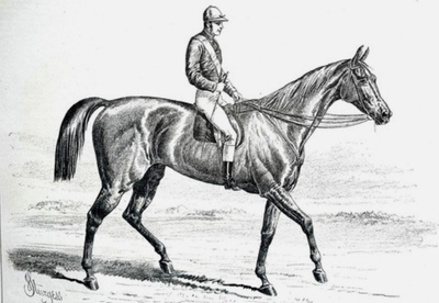 Austerlitz Horse Grand National