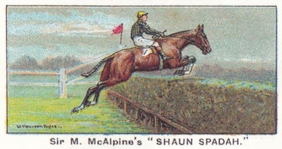 Shaun Spadah