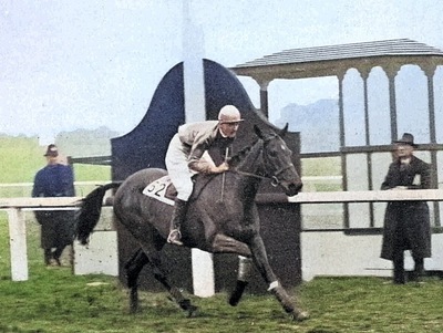 Tipperary Tim