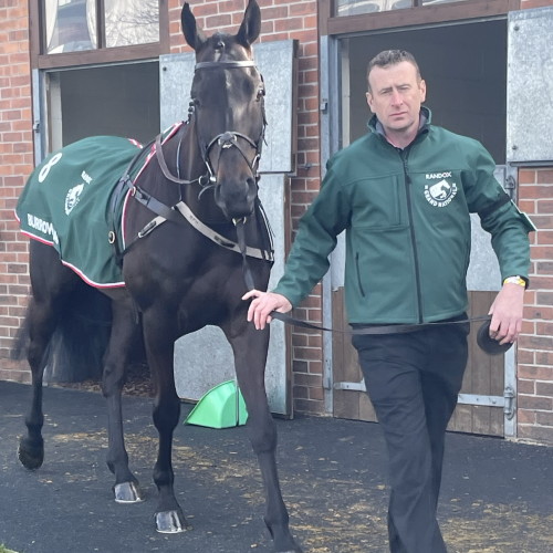 Burrows Saint 2022 with handler in stable ring