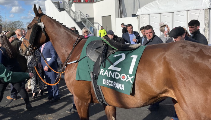 Discorama walking to parade ring 2022