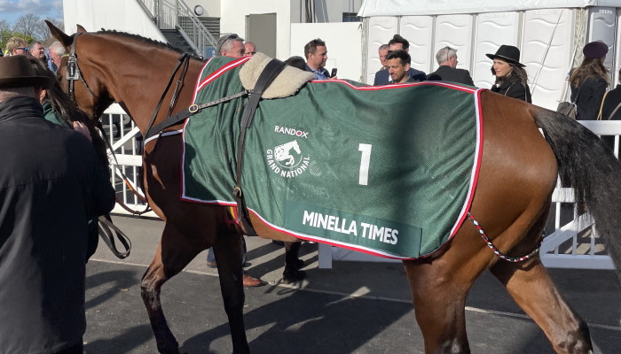 Minella Times walking to parade ring 2022