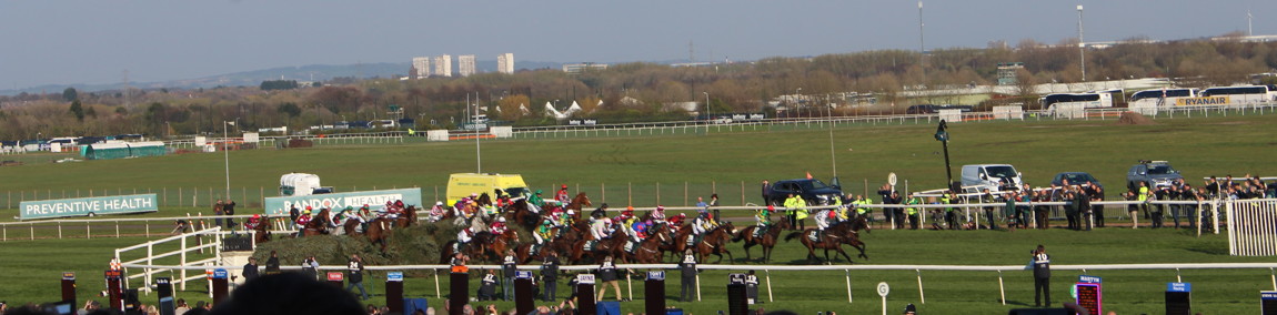 field jumping a fence on the home straight in the grand national