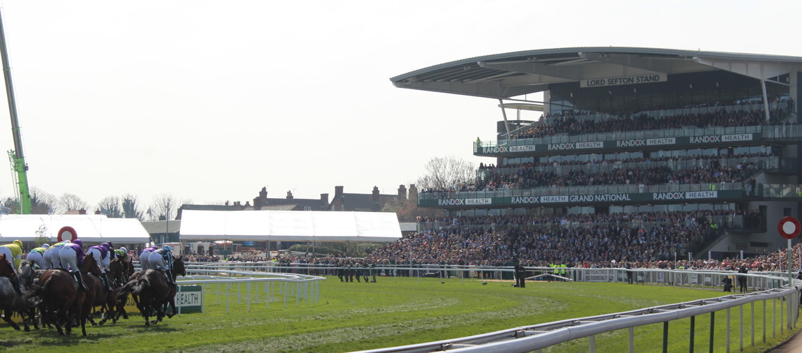 horses running into the bend in front of lord sefton stand at aintree