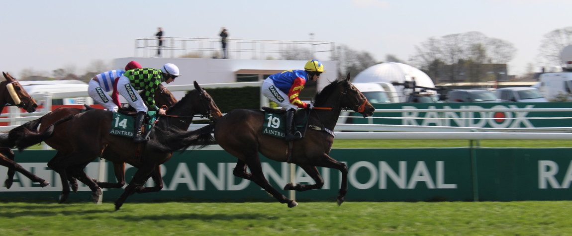 runners in the grand national