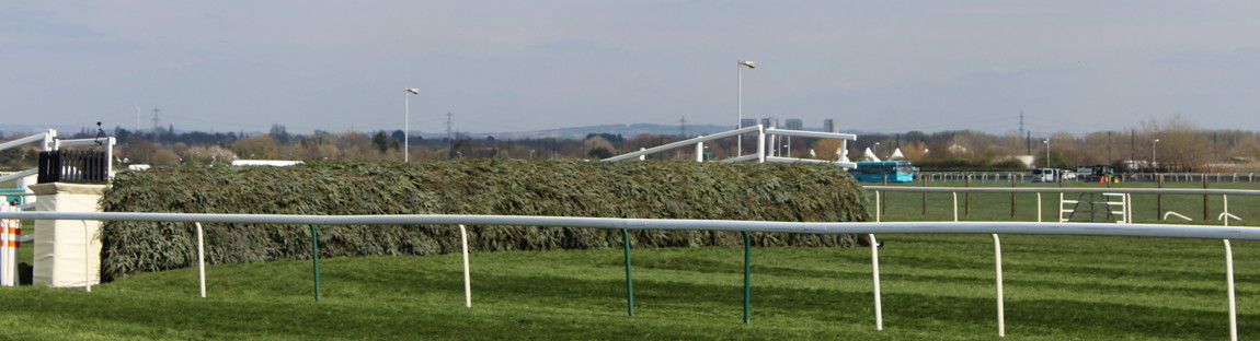 spruce hedge fence at aintree grand national