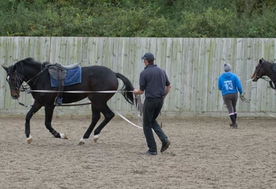 Breaking a Horse