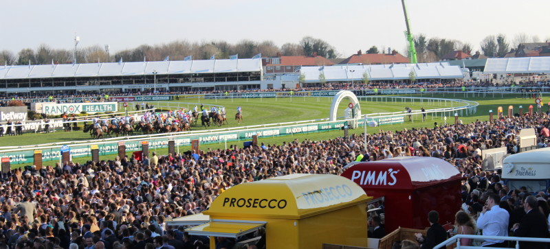 grand national crowd 201