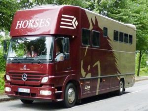 Horse Box