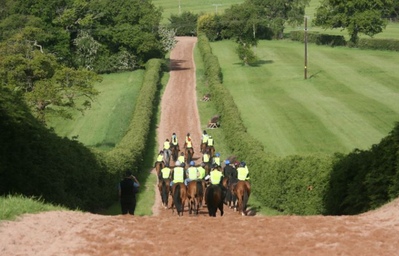 Training Gallops