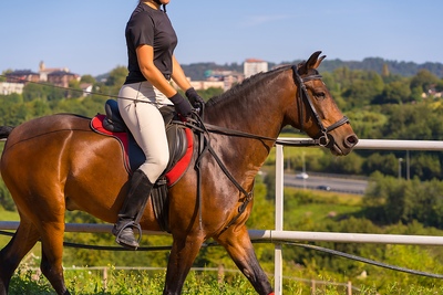 Work Rider