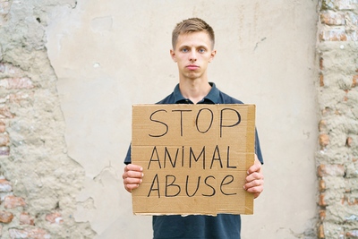 Animal Activist