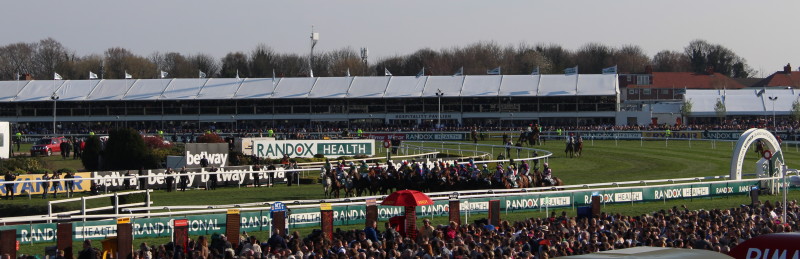 grand national 2019 field of runners