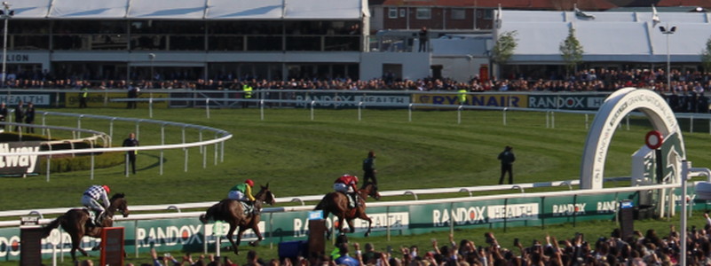 magic of light coming second Grand National 2019