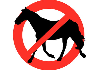 disqualified horse symbol