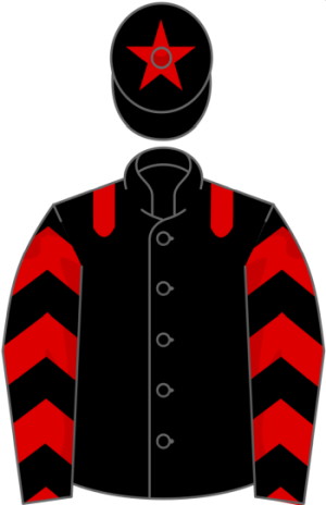 Emmet Mullins silks black and red