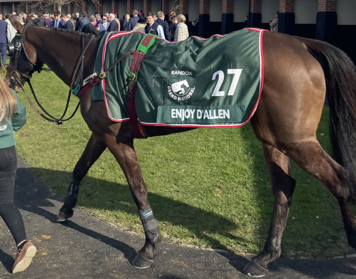 Enjoy D'Allen grand national runner 2023 full body