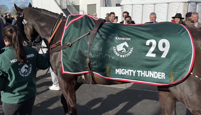 Mighty Thunder walking to parade ring 2022