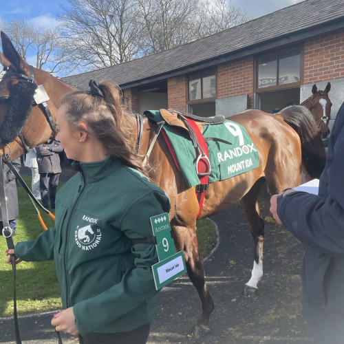 Mount Ida in Stable ring with handler grand national 2022