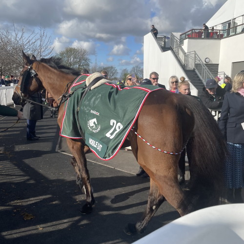 Noble Yeats Grand National win