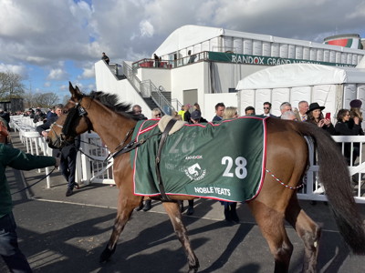 noble yeats 2022 grand national winner being led into parade ring