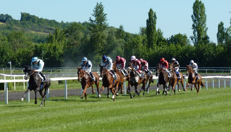 Footballers Owning Racehorses