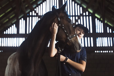 horse being cuddled in a stable