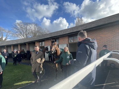 horses being checked by official grand national 2022